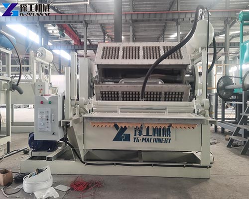 egg tray machine shipment real photo