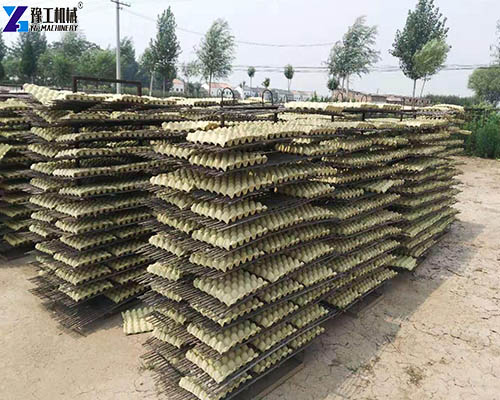 egg tray machine outdoor drying