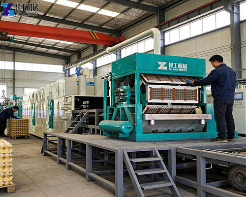 egg tray machine production line